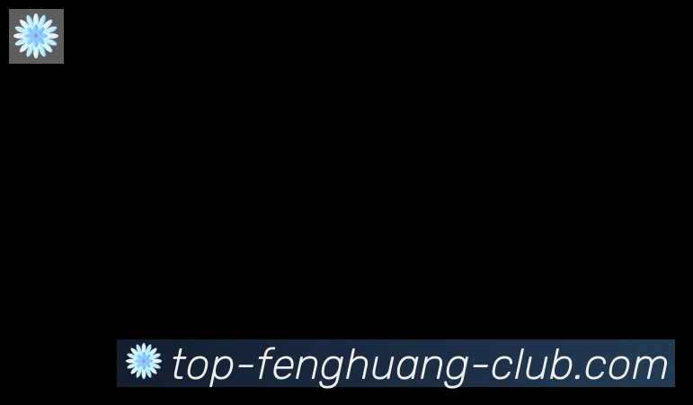 凤凰体育合作伙伴